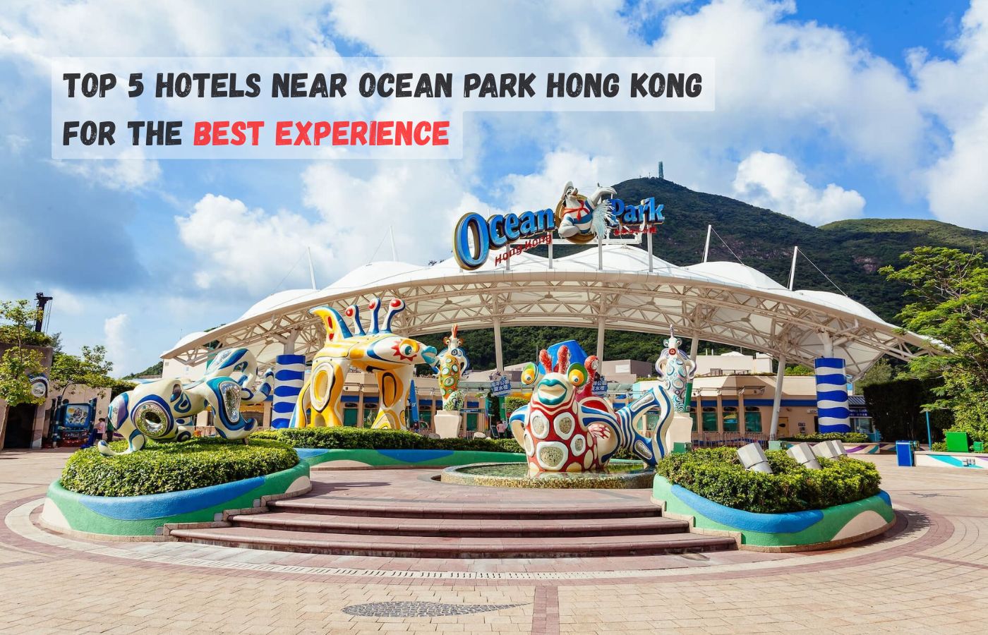 Top 5 Hotels Near Ocean Park Hong Kong for the best experience