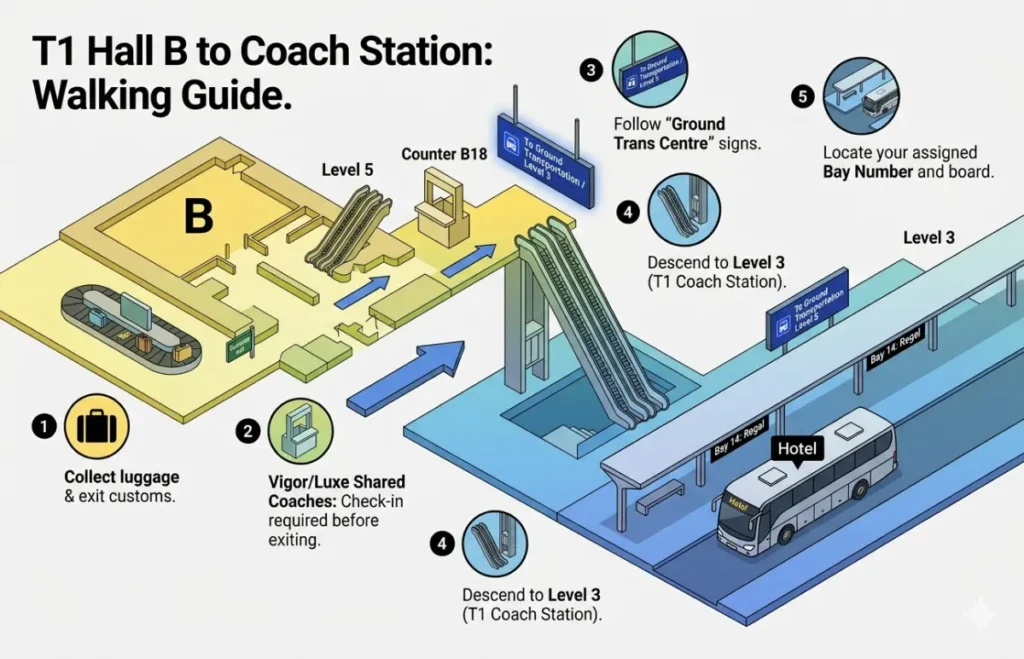 Hall B to Coach Station walking guide